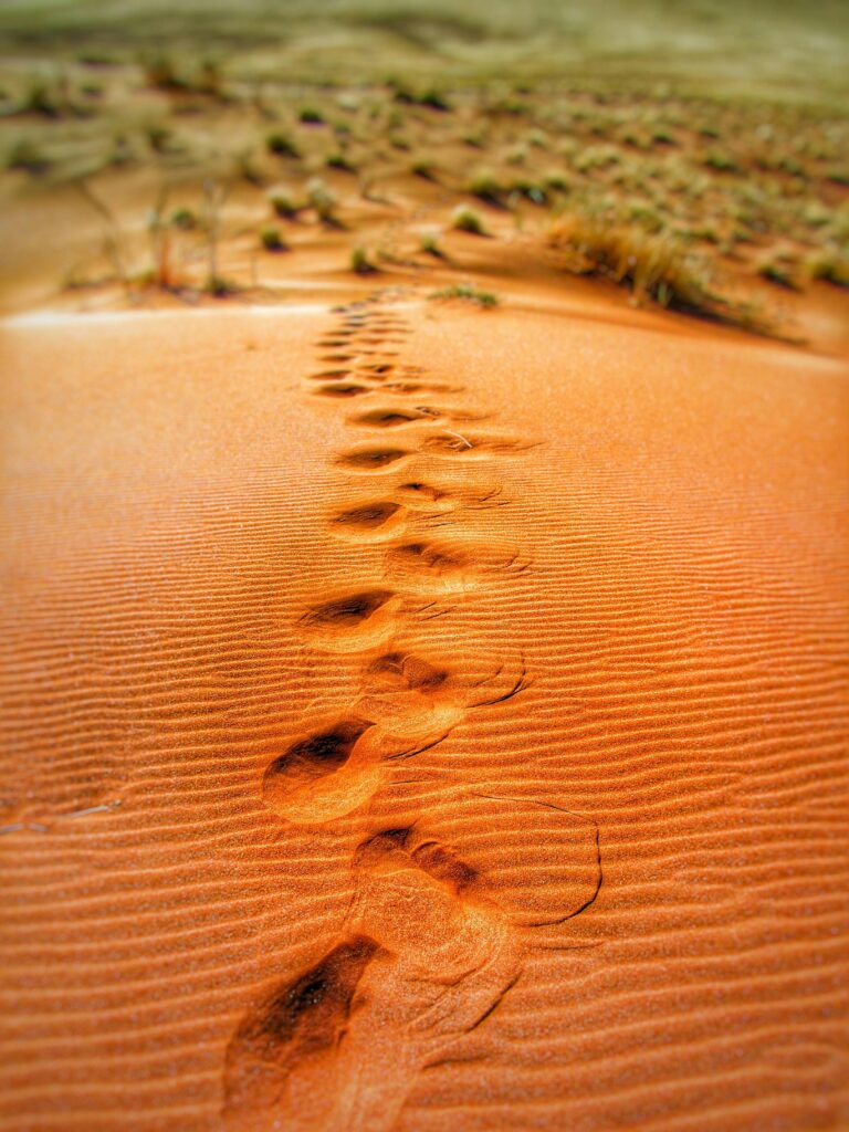 Walking, hodanje