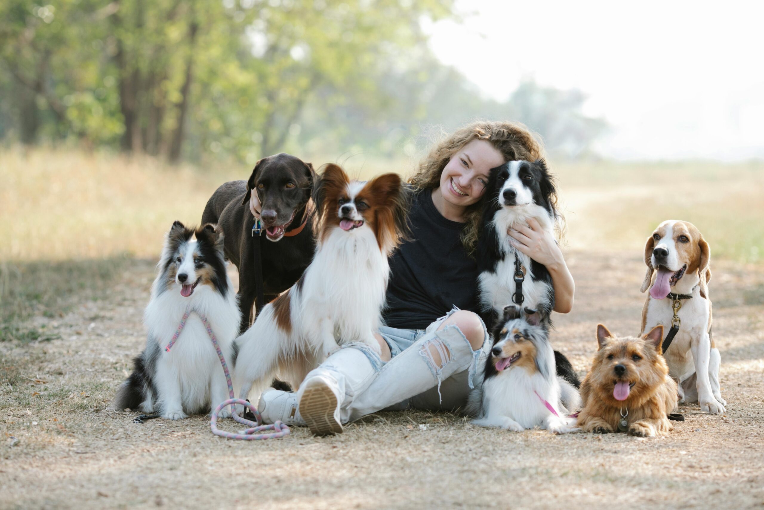 Psi, pas, dog