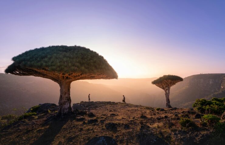 Socotra